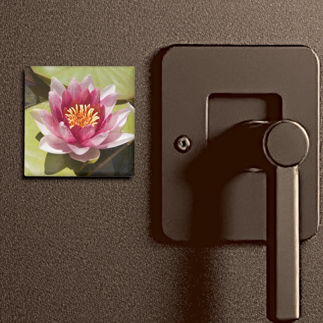 Rosa Wasserlilie Magnet (2" water lily magnet)
