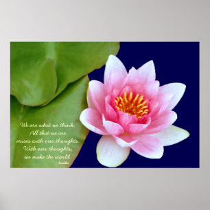 Rosa Wasserlilie mit Buddha-Zitat Poster