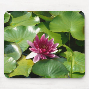 Rosa Wasserlilie mousepad