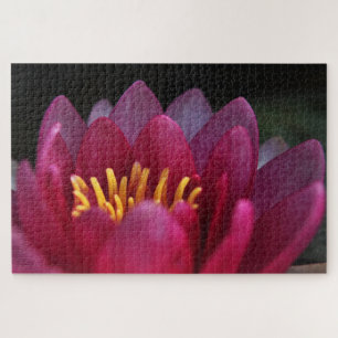 Rosa Wasserlilie Puzzle