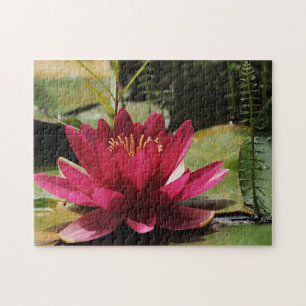 Rosa Wasserlilie Puzzle