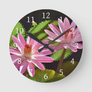 Rosa Wasserlilie Runde Wanduhr
