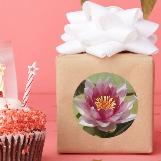 Rosa Wasserlilie Runder Aufkleber (Party)