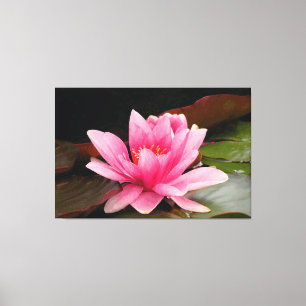 Rosa Wasserlilie Stretchierte Leinwand drucksvoll