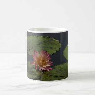 Rosa Wasserlilie Tasse