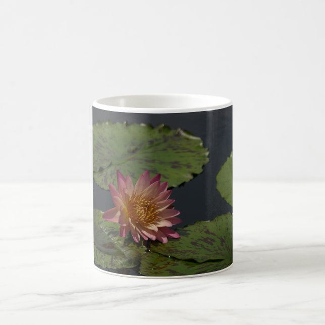 Rosa Wasserlilie Tasse (Mittel)
