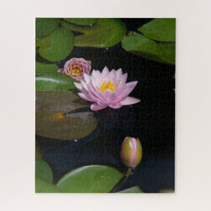 Rosa Wasserlilien Jigsaw Puzzle
