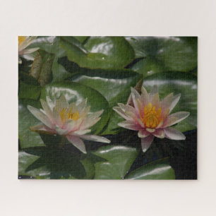 Rosa Wasserlilien Jigsaw Puzzle