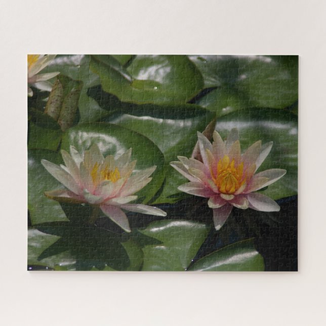 Rosa Wasserlilien Jigsaw Puzzle (Horizontal)