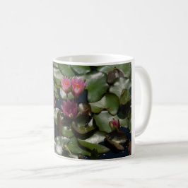 Rosa Wasserlilien Tasse