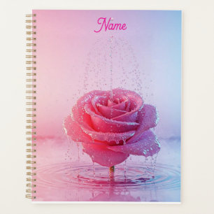 Rosa Wasserrose Planer