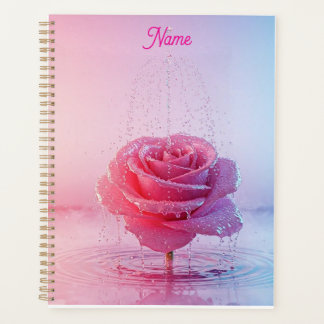 Rosa Wasserrose Planer