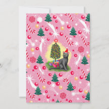 Rosa Weihnachtskatze