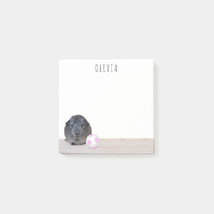 Rosa weiße Fußball-Guinea kehrt zur Schule zurück Post-it Klebezettel