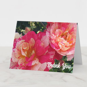 Rosa weiße gestreifte Rosen 4" x 5.6" Danke  Karte