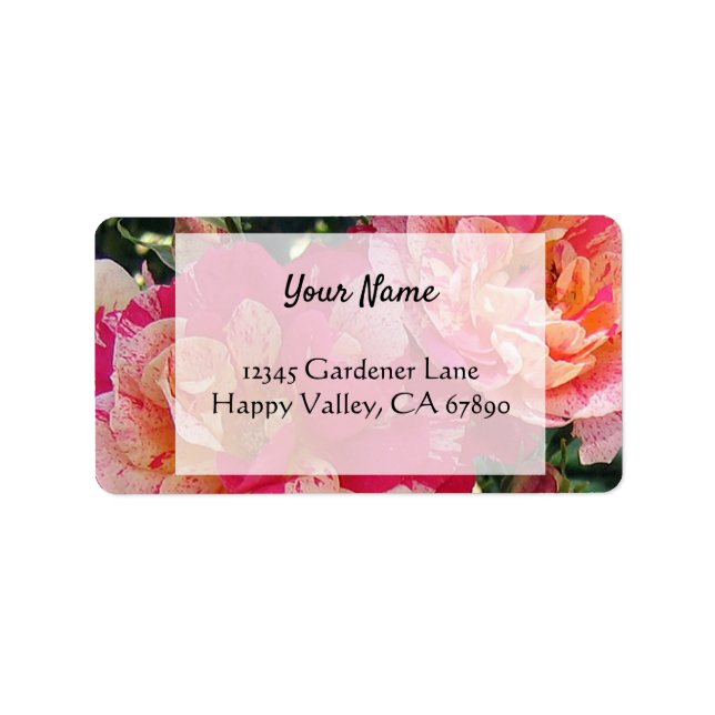 Rosa weiße Rosen Editable Address Labels Adressaufkleber (Vorne)