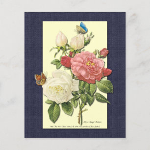 Rosa Weiße Vintage botanische Rose Flyer Vorlage