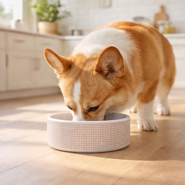 Rosa-weißes Gingham-Muster Napf (A pet bowl with a pretty pink & white gingham pattern)
