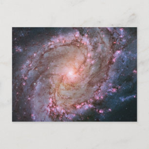 Rosa Weltraum-Foto Spiralgalaxie M83 Postkarte