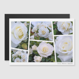 Rosa White Arrow Magnetkarte