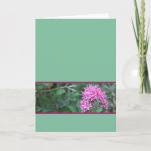 Rosa Wildblume-Gruß-Karte Karte
