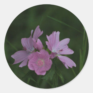 Rosa Wildblumen im Gras Runder Aufkleber