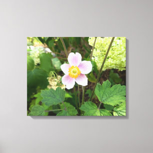 Rosa Wildblumen-Leinwanddruck Botanische Blumen Leinwanddruck