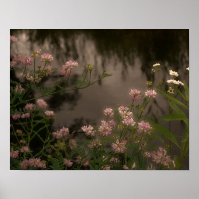 Rosa Wildblumen per Stream Foto Kunst Poster (Vorne)