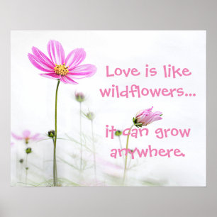 Rosa Wildblumen Poster
