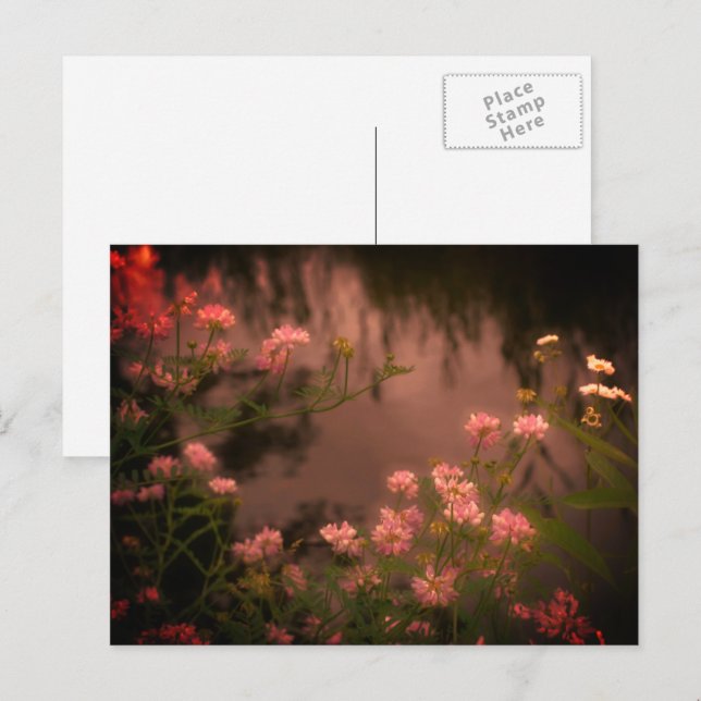 Rosa Wildblumen Vintag aussehen Blume Postkarte (Vorne/Hinten)