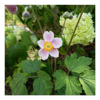 Rosa Wildblumen-Wandschild | Botanisches Florales Poster