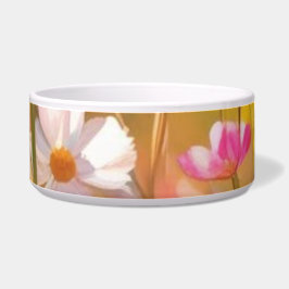 Rosa Wilde Blume Gelber Lavendel 2025 Napf