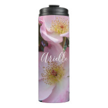 Rosa Wilde Rose Blume Blumenkruste Foto Thermal Tu