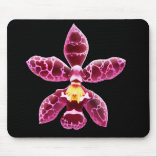 Rosa Wilsonara Orchideen-Blume Mousepad