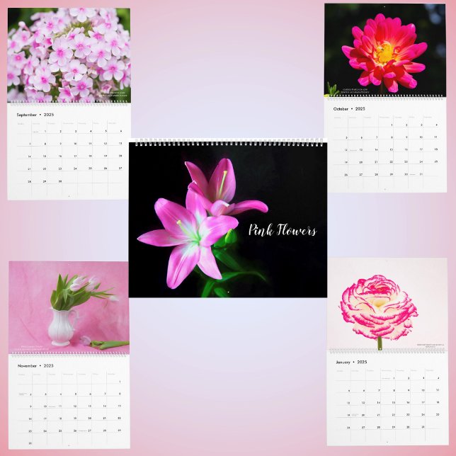 Rosa zarte Blüten Blumenkalender Kalender (Von Creator hochgeladen)