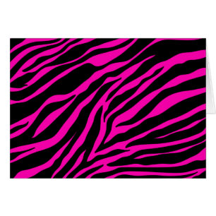 Rosa Zebra