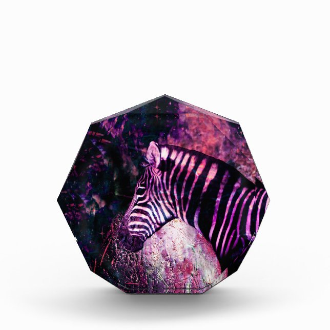 Rosa Zebra Fotoblock (Vorderseite)