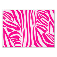 Rosa Zebra