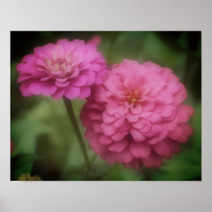 Rosa Zinnia-Blume im Blut Poster