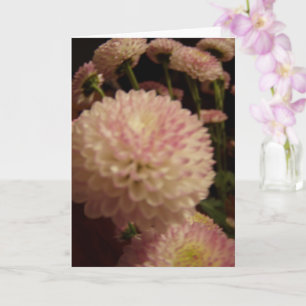 Rosa Zinnia-Blume Karte