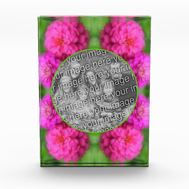 Rosa Zinnia-Blume kreieren Fotoblock (Vorderseite)