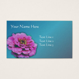 Rosa Zinnia Blume Nature