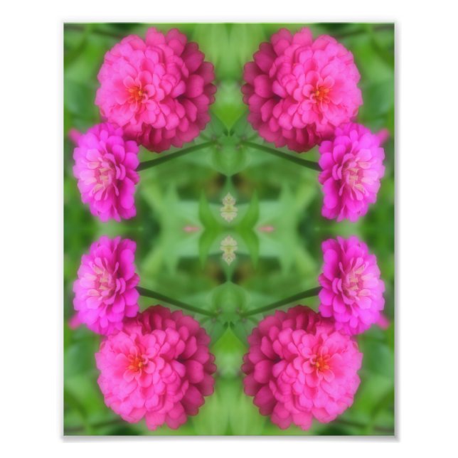 Rosa Zinnia Blume Pair Mirror Abstrakt 8x10 Fotodruck (Vorne)