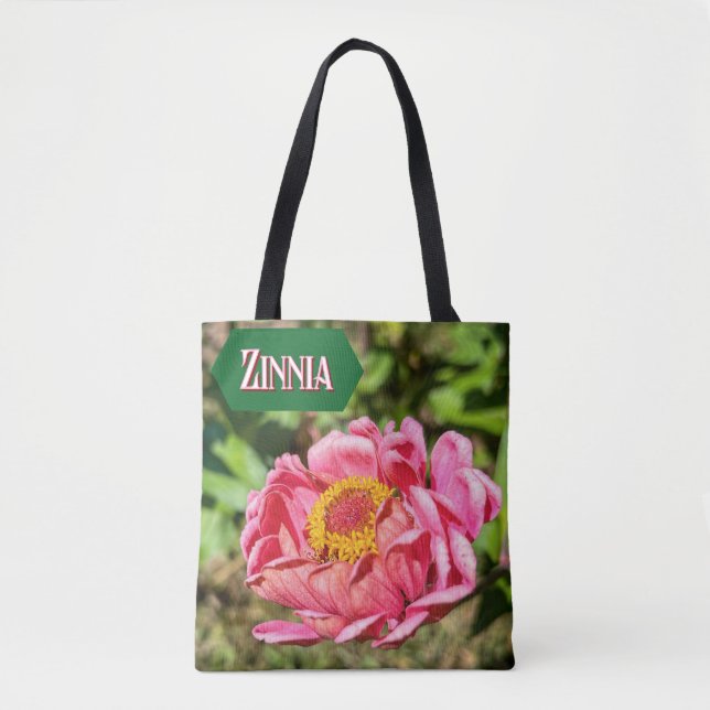 Rosa Zinnia mit gelber Mittellaufruge (Vorderseite)