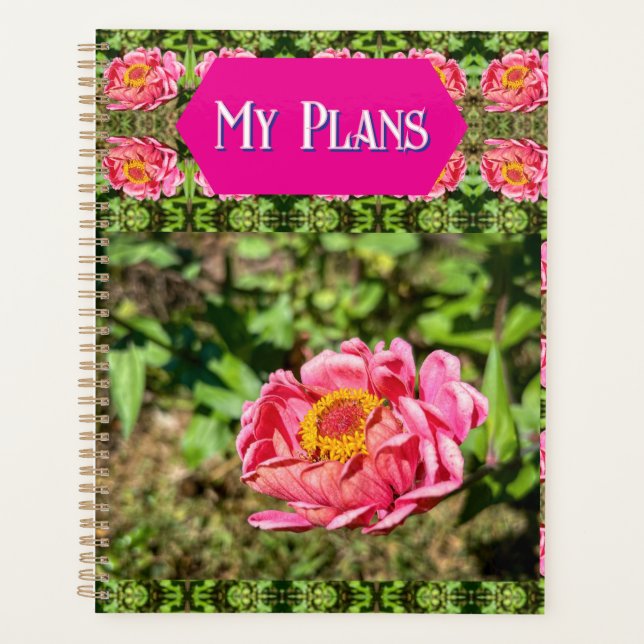 Rosa Zinnia mit gelber Mittellaufruge Planer (Vorderseite)