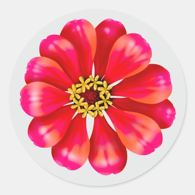 Rosa Zinnia Runder Aufkleber (Vorderseite)