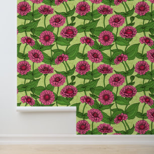 Rosa Zinnias auf hellgrün Tapete