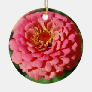 Rosa Zinniaverzierung Keramikornament