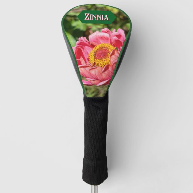 Rosa Zinnie mit gelber Mitte Golf Headcover (Vorderseite)