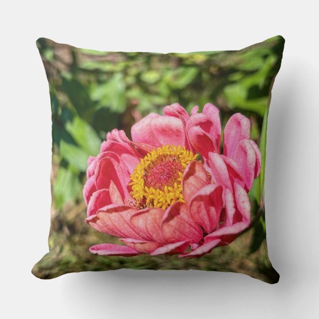 Rosa Zinnie mit gelber Mitte Kissen (Vorderseite)